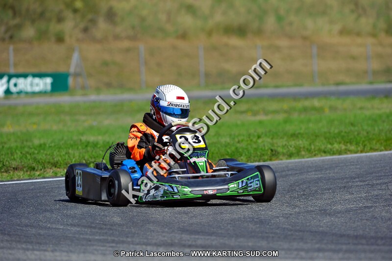 DSC_ (1328).jpg